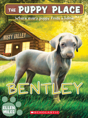 cover image of Bentley